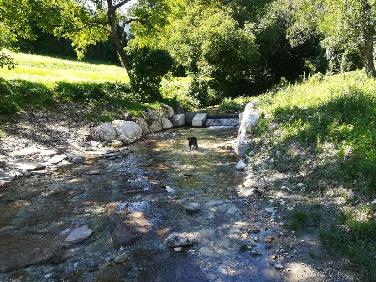 B&B Il Crogiolo Bosentino Dış mekan fotoğraf