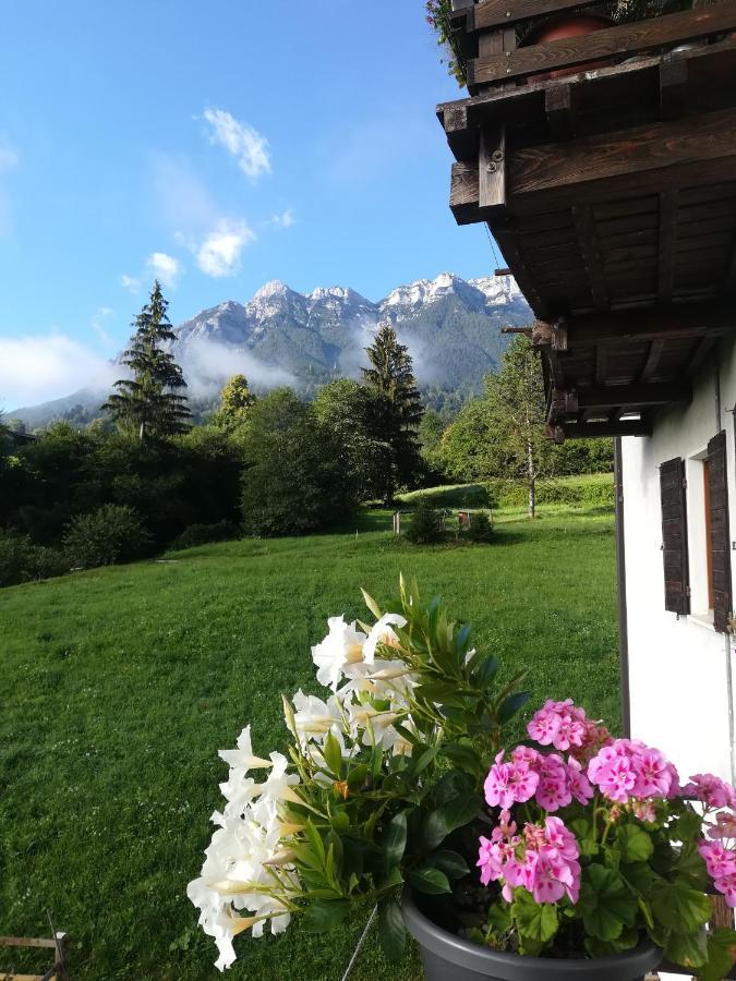 B&B Il Crogiolo Bosentino Dış mekan fotoğraf